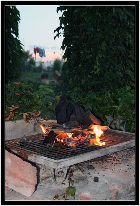 Grill with charcoal