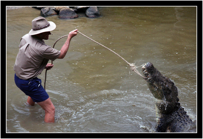 Bart vs. the Crocodile Keeper