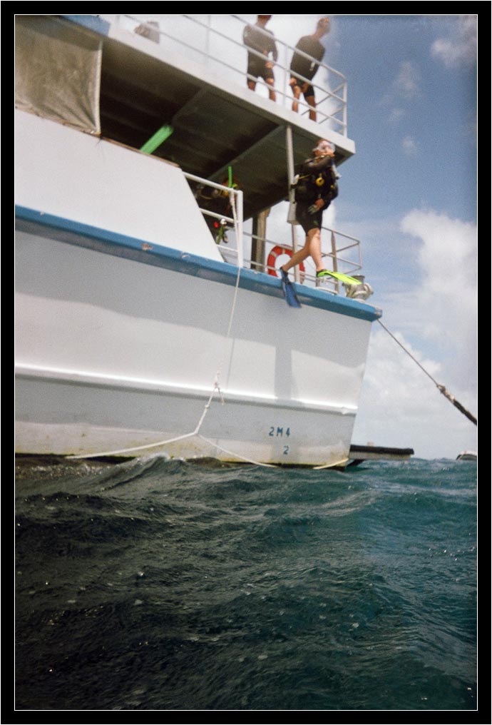 Second deck, giant stride.  No, those guys weren't peeing on her.