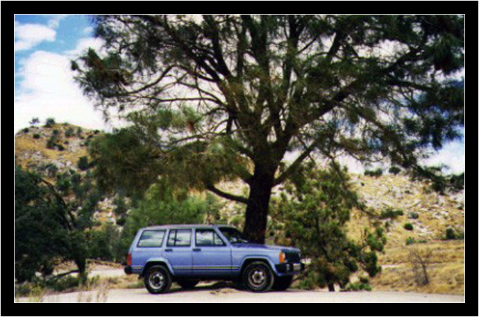 Jeep parked at a lake in California