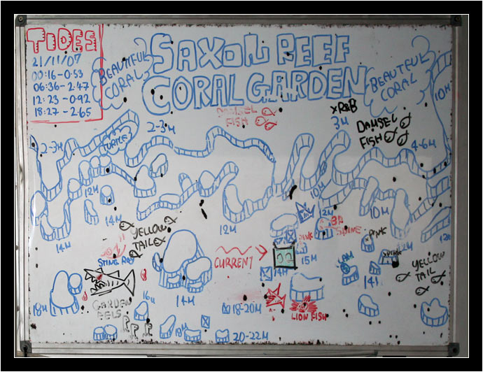 Dive Briefing for Saxon Reef: Coral Gardens.  The boat is the only thing drawn in green.