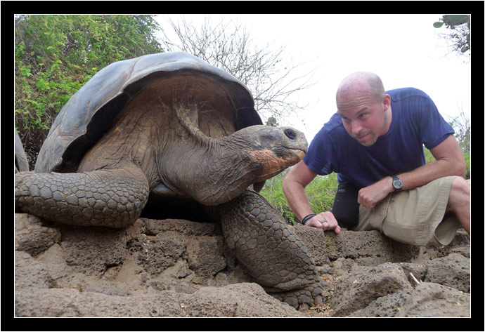 Giant Land Tortoise